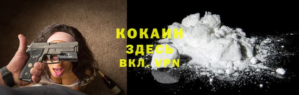 индика Гусь-Хрустальный