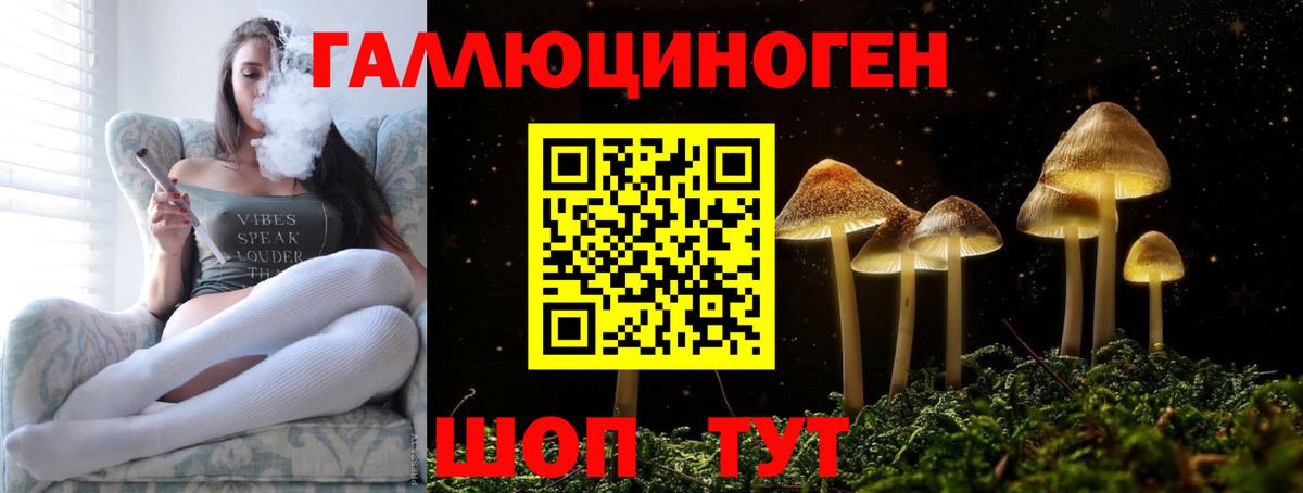 Псилоцибиновые грибы GOLDEN TEACHER  Вход с VPN  Советская Гавань 